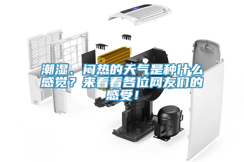 潮濕、悶熱的天氣是種什么感覺？來看看各位網(wǎng)友們的感受！