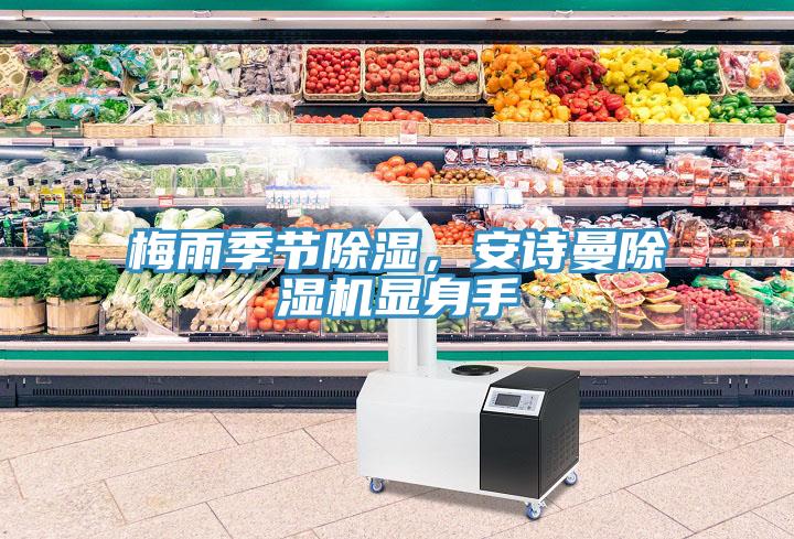 梅雨季節(jié)除濕，安詩曼除濕機顯身手
