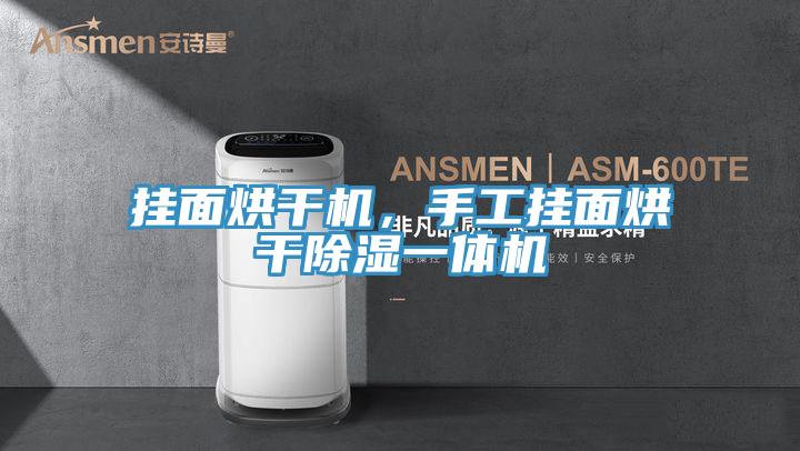 掛面烘干機(jī)，手工掛面烘干除濕一體機(jī)