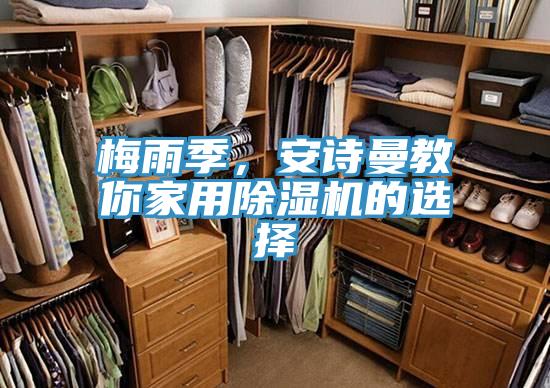 梅雨季，安詩曼教你家用除濕機的選擇