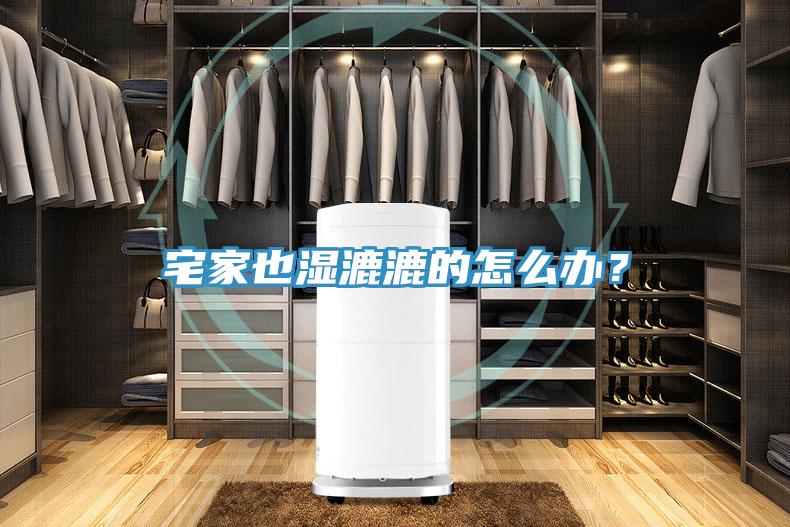 宅家也濕漉漉的怎么辦？