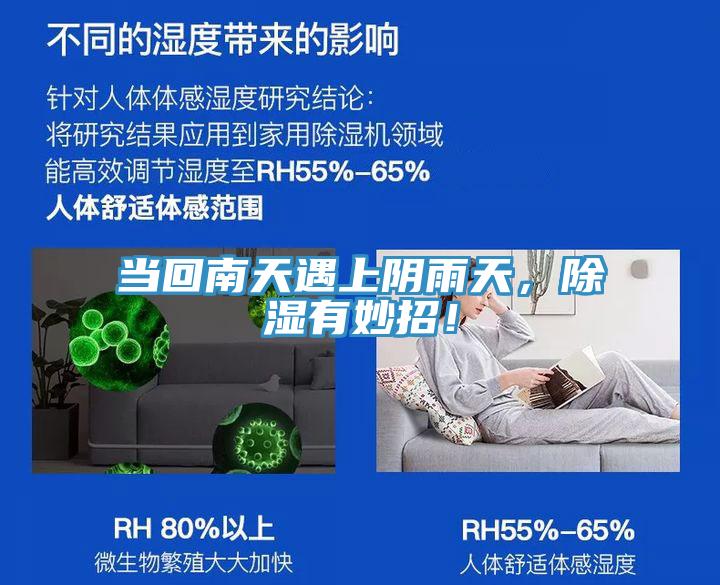 當回南天遇上陰雨天，除濕有妙招！
