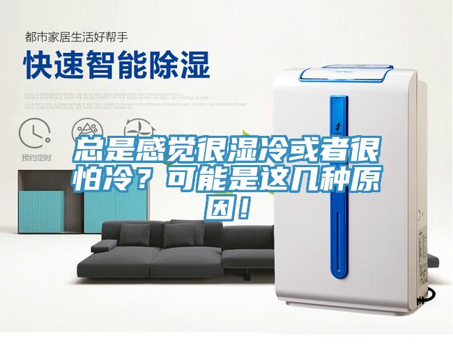 總是感覺很濕冷或者很怕冷？可能是這幾種原因！