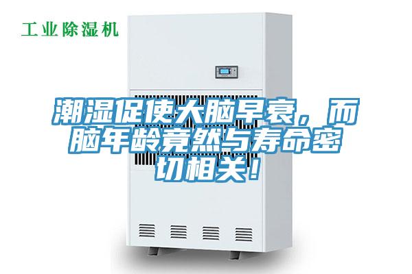 潮濕促使大腦早衰，而腦年齡竟然與壽命密切相關(guān)！