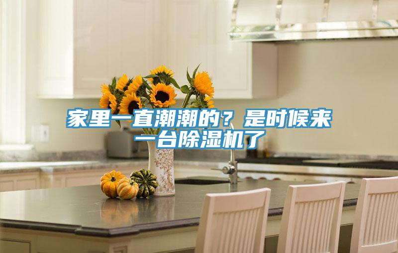 家里一直潮潮的？是時候來一臺除濕機了