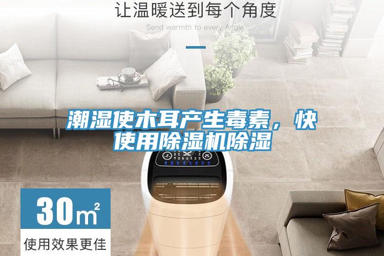 潮濕使木耳產(chǎn)生毒素，快使用除濕機除濕