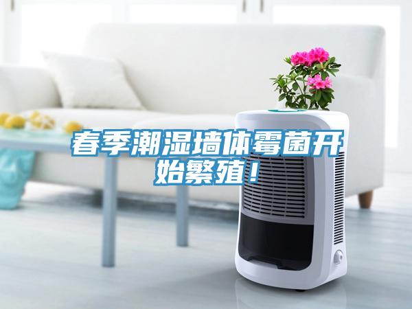 春季潮濕墻體霉菌開(kāi)始繁殖！