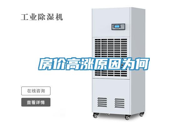房價高漲原因?yàn)楹?></div>
								<div   id=