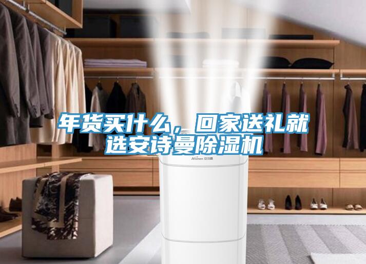 年貨買什么，回家送禮就選安詩曼除濕機(jī)