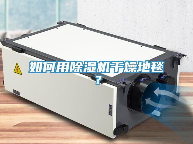 如何用除濕機(jī)干燥地毯？
