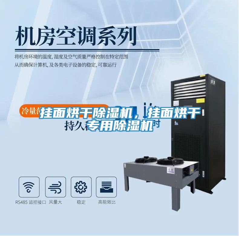 掛面烘干除濕機(jī)，掛面烘干專用除濕機(jī)