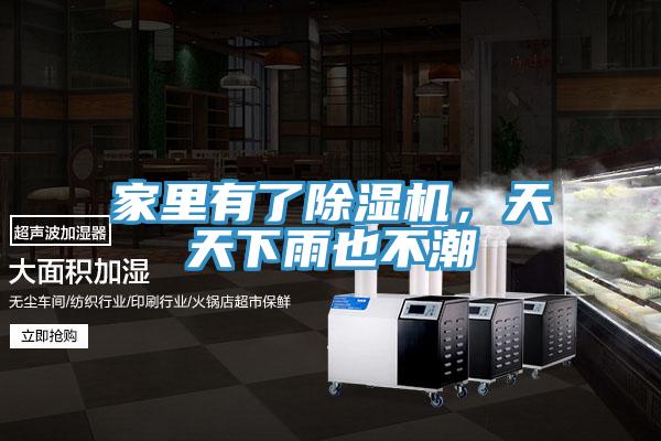 家里有了除濕機，天天下雨也不潮