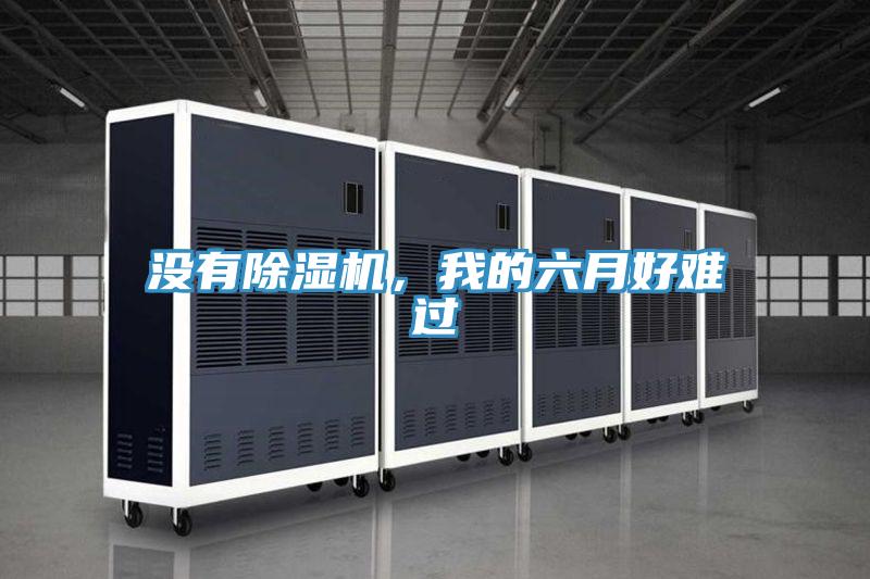 沒有除濕機，我的六月好難過