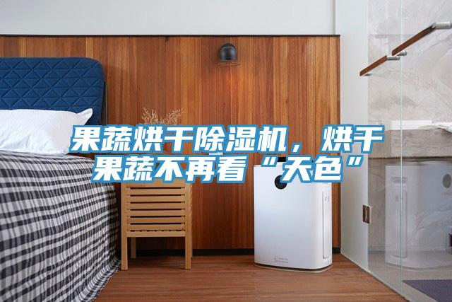 果蔬烘干除濕機(jī)，烘干果蔬不再看“天色”