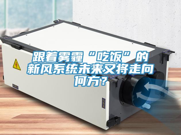 跟著霧霾“吃飯”的新風(fēng)系統(tǒng)未來(lái)又將走向何方？