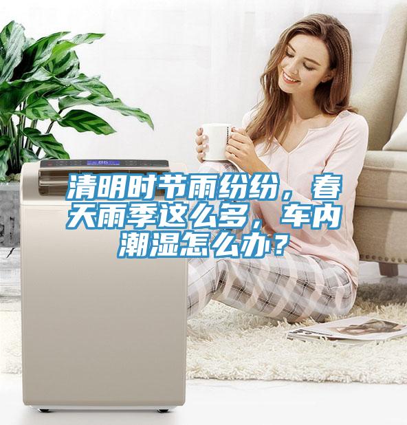 清明時(shí)節(jié)雨紛紛，春天雨季這么多，車內(nèi)潮濕怎么辦？