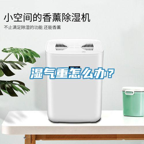 濕氣重怎么辦？