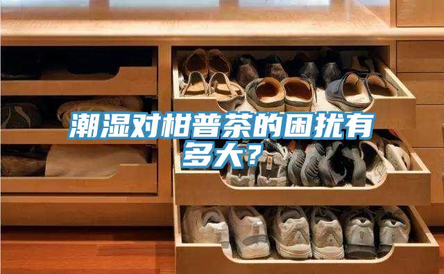 潮濕對柑普茶的困擾有多大？