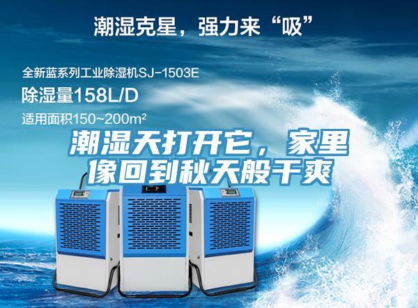 潮濕天打開它，家里像回到秋天般干爽
