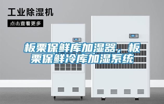板栗保鮮庫加濕器，板栗保鮮冷庫加濕系統(tǒng)