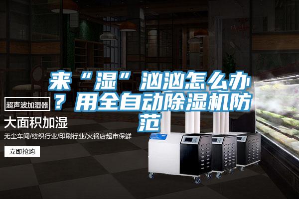 來“濕”洶洶怎么辦？用全自動(dòng)除濕機(jī)防范