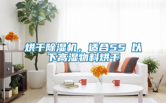烘干除濕機(jī)，適合55℃以下高濕物料烘干