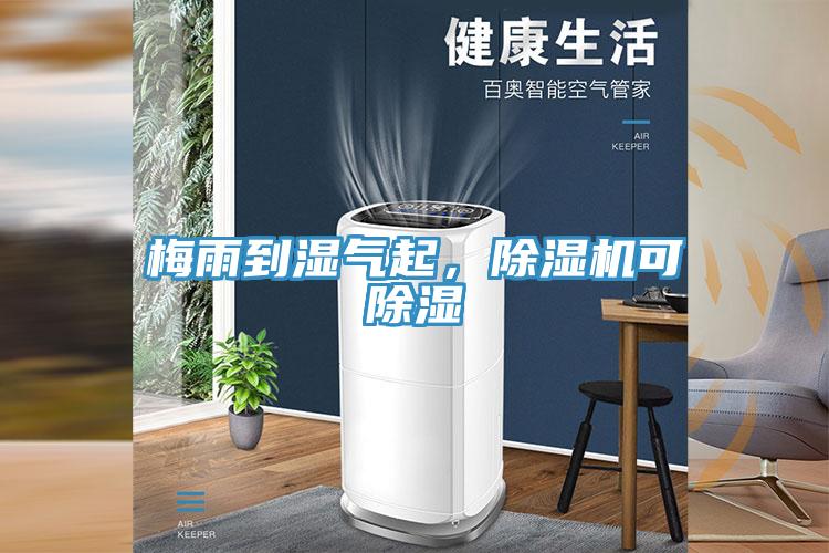 梅雨到濕氣起，除濕機(jī)可除濕