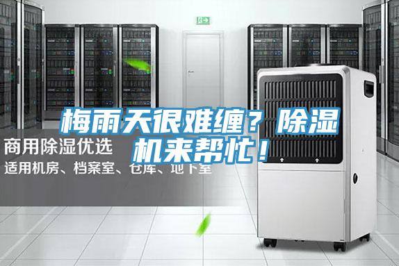 梅雨天很難纏？除濕機(jī)來(lái)幫忙！