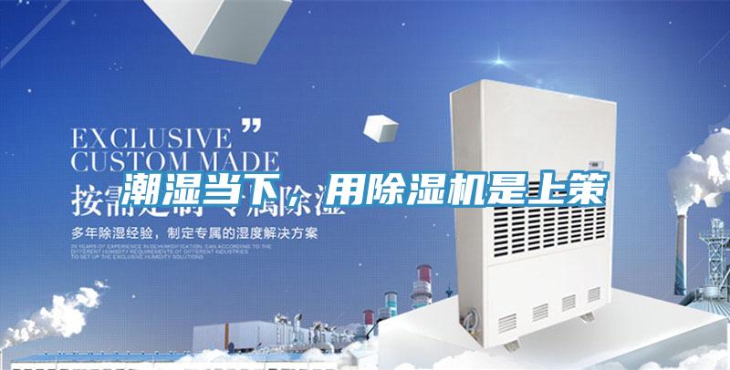 潮濕當(dāng)下，用除濕機(jī)是上策