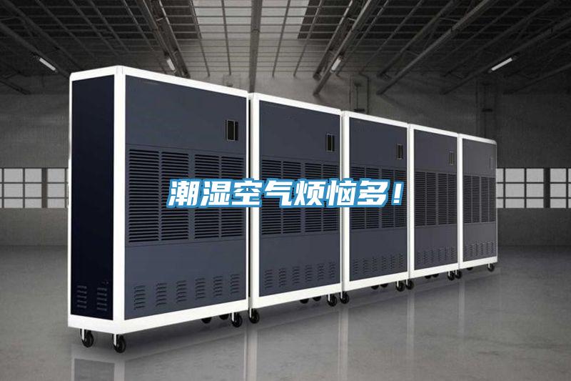 潮濕空氣煩惱多！