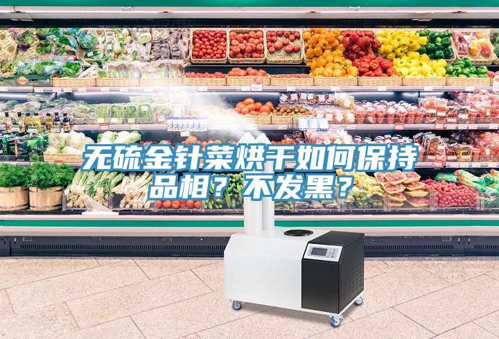 無硫金針菜烘干如何保持品相？不發(fā)黑？