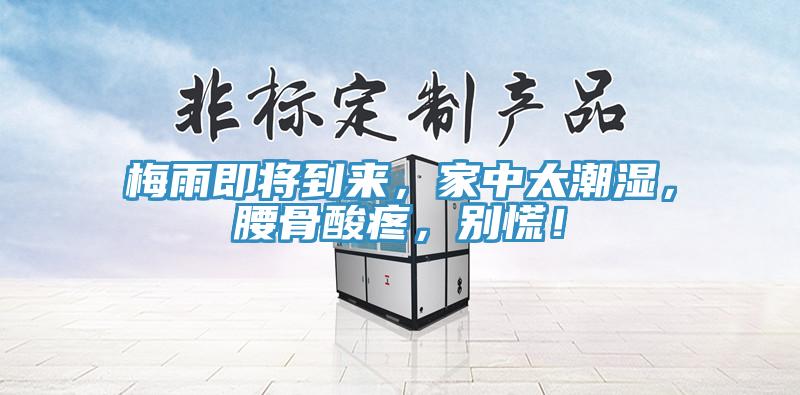 梅雨即將到來(lái)，家中太潮濕，腰骨酸疼，別慌！