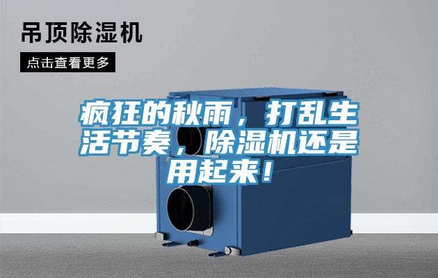 瘋狂的秋雨，打亂生活節(jié)奏，除濕機還是用起來！