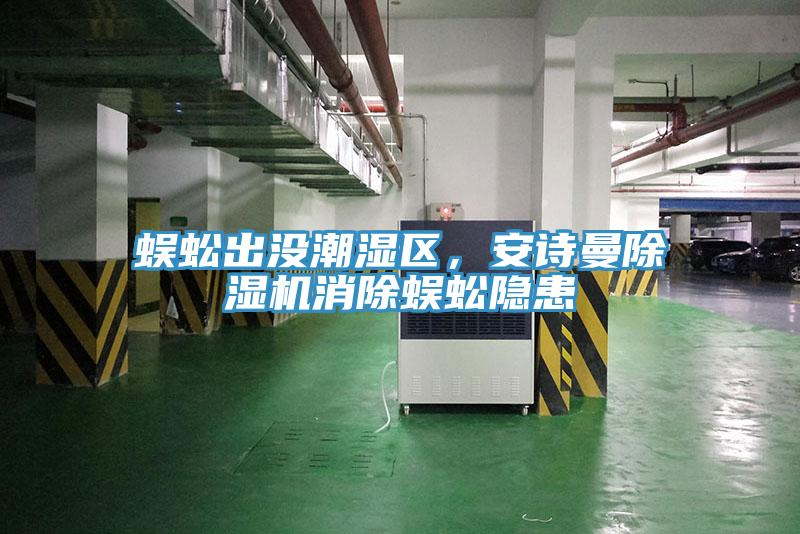 蜈蚣出沒潮濕區(qū)，安詩曼除濕機消除蜈蚣隱患