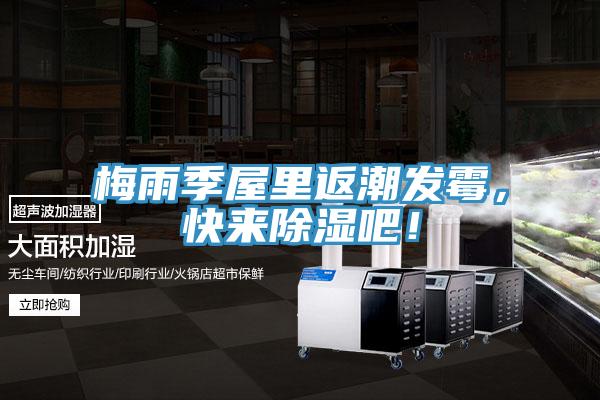 梅雨季屋里返潮發(fā)霉，快來除濕吧！