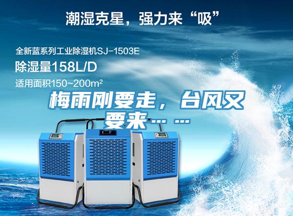 梅雨剛要走，臺(tái)風(fēng)又要來(lái)……