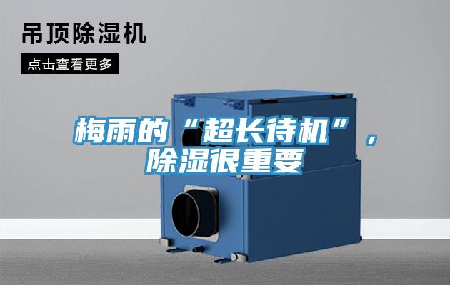 梅雨的“超長待機(jī)”，除濕很重要