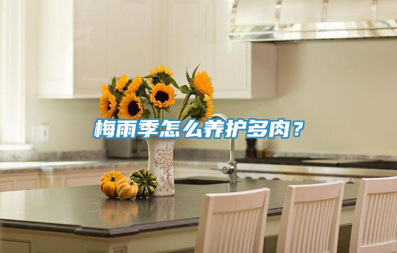 梅雨季怎么養(yǎng)護(hù)多肉？