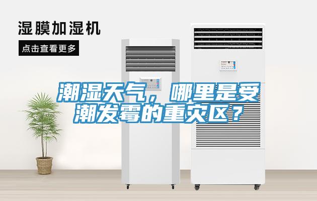 潮濕天氣，哪里是受潮發(fā)霉的重災(zāi)區(qū)？