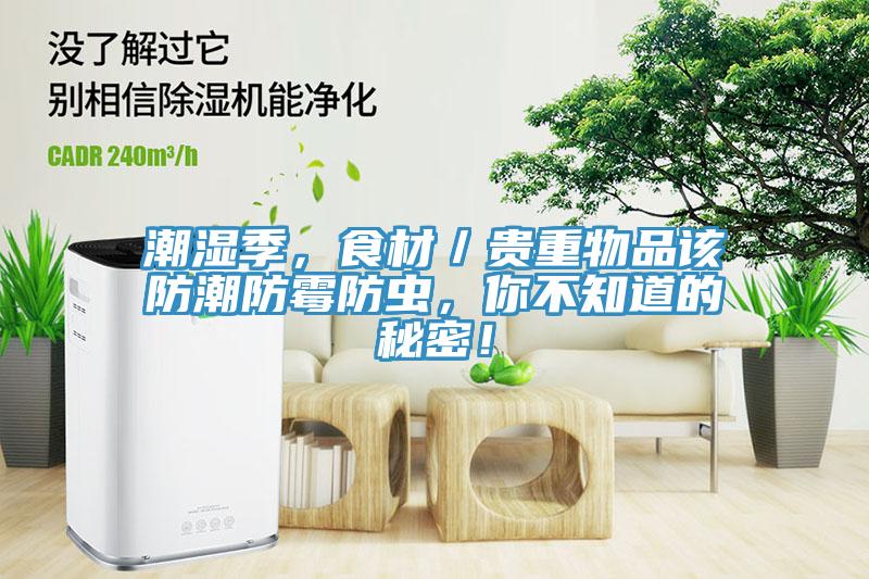 潮濕季，食材／貴重物品該防潮防霉防蟲，你不知道的秘密！