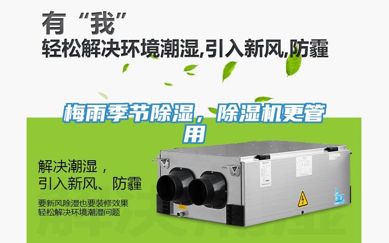 梅雨季節(jié)除濕，除濕機更管用