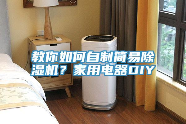 教你如何自制簡易除濕機(jī)？家用電器DIY
