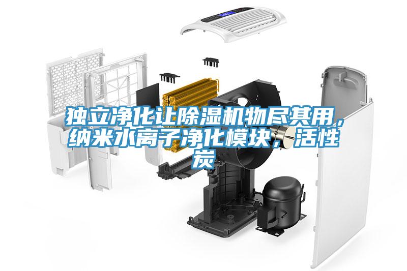 獨立凈化讓除濕機物盡其用，納米水離子凈化模塊，活性炭