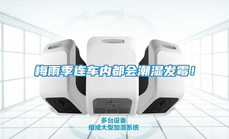 梅雨季連車內(nèi)都會潮濕發(fā)霉！