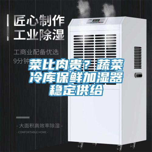 菜比肉貴？蔬菜冷庫保鮮加濕器穩(wěn)定供給