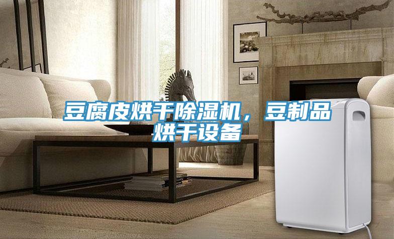 豆腐皮烘干除濕機，豆制品烘干設(shè)備