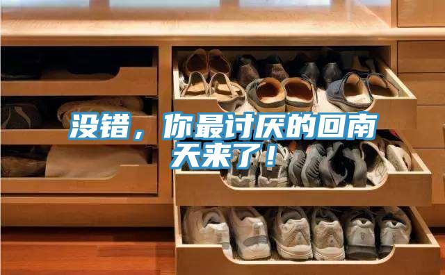 沒錯，你最討厭的回南天來了！