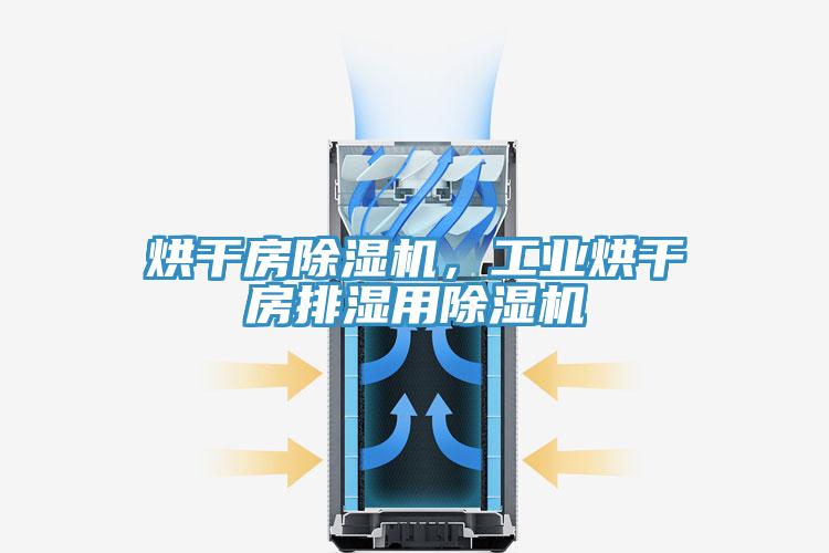 烘干房除濕機，工業(yè)烘干房排濕用除濕機