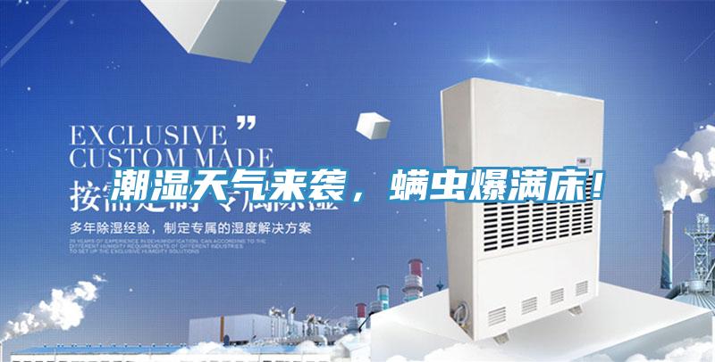 潮濕天氣來襲，螨蟲爆滿床！