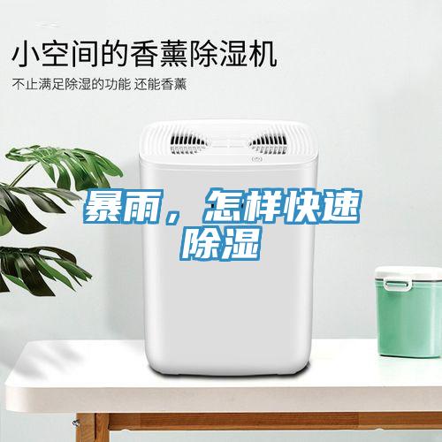 暴雨，怎樣快速除濕